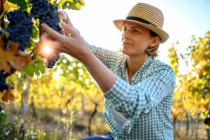 Imagen de Katerina Monroe